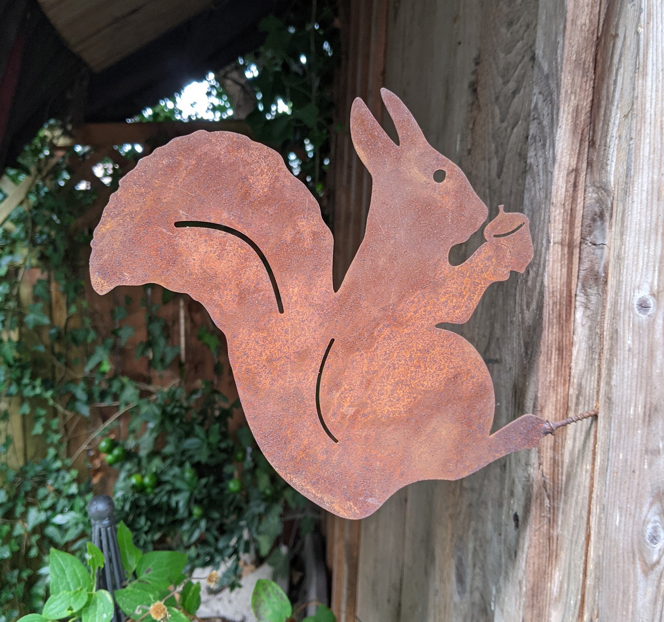Eichhörnchen mit Nuss zum Einschrauben 20 cm breit aus Metall in Edelrost Baumdeko Herbst Winter